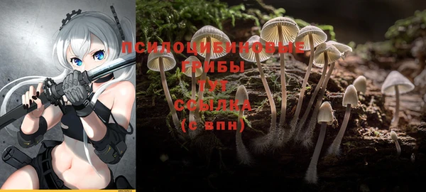спайс Алзамай
