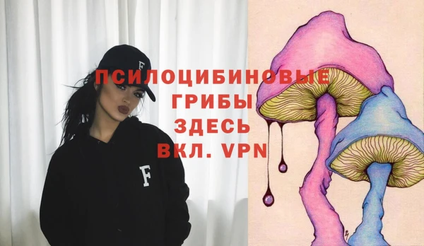 ECSTASY Алексин