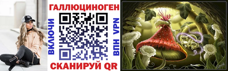 Псилоцибиновые грибы Psilocybe  Игра 